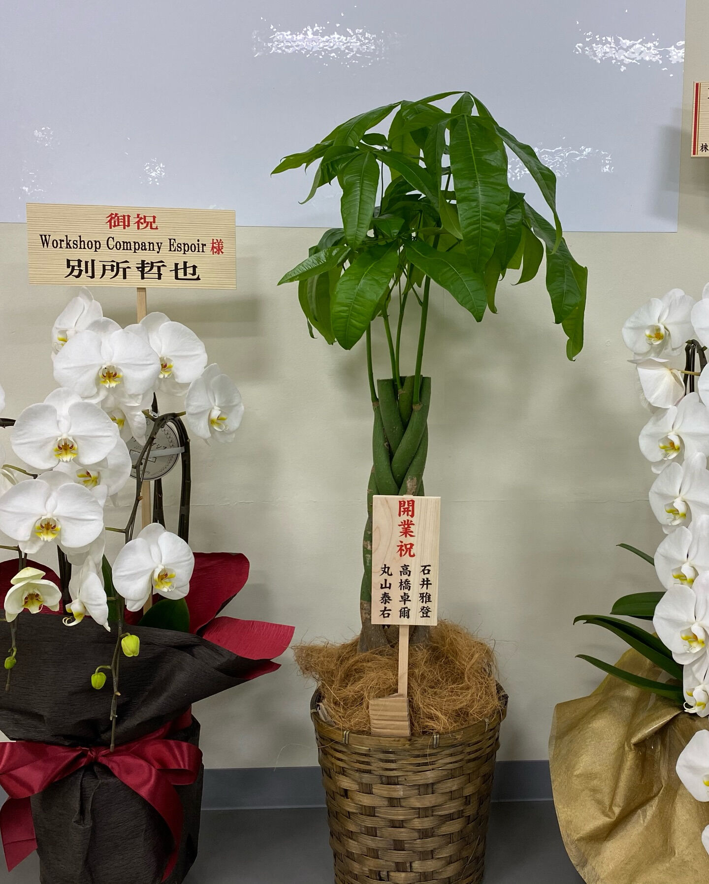 【大山スタジオ オープン5周年】