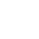 フラメンコアイコン